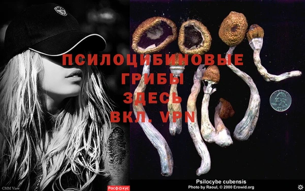 прущая мука Кукмор