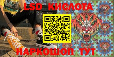 прущие грибы Гагарин