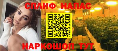 прущие грибы Гагарин