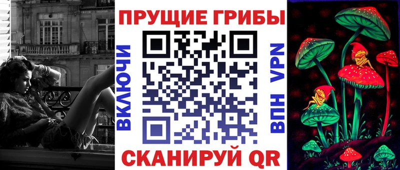 MEGA ТОР  Людиново  Галлюциногенные грибы Psilocybe 