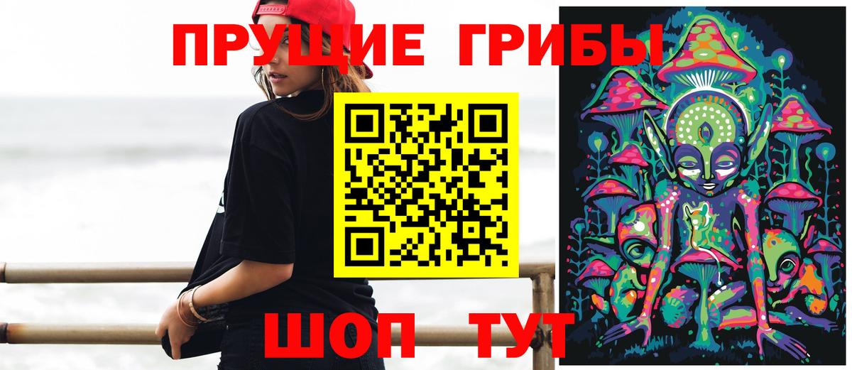 Галлюциногенные грибы Psilocybine cubensis  Вход с VPN  Людиново 