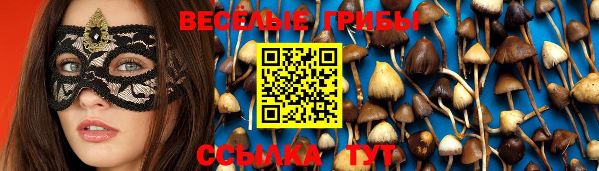 Галлюциногенные грибы мухоморы Людиново